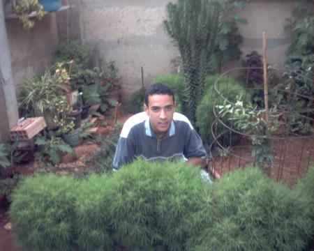 ISMAIL FERGOUG