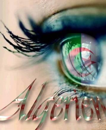 VIVE  LES ALGERIEN