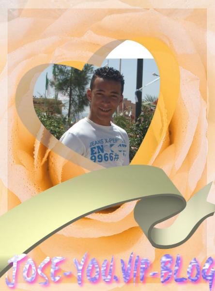 vip blog